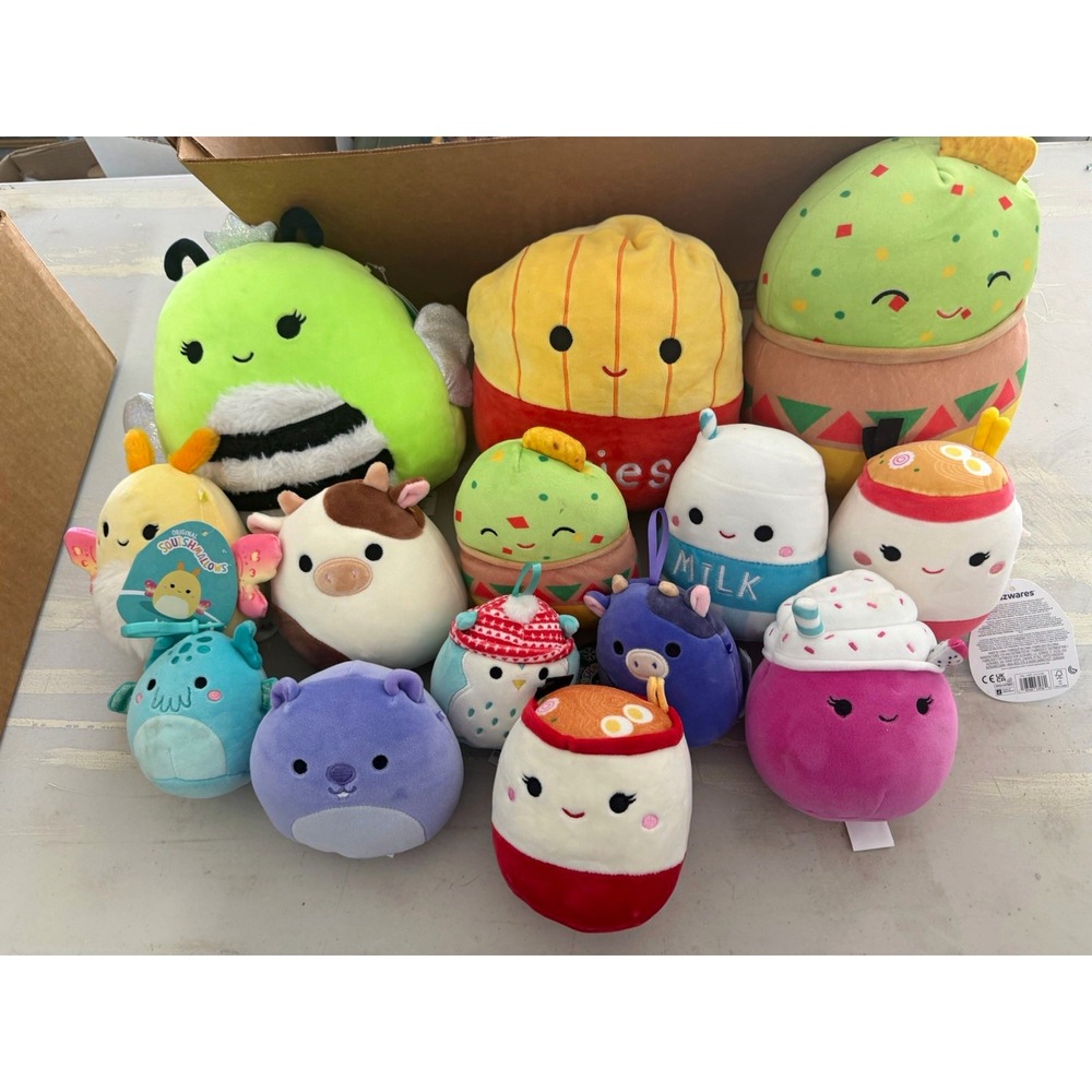 Squishmallows Mixed Lot of 14 Plush Stuffed Animals Food & Animal Characters